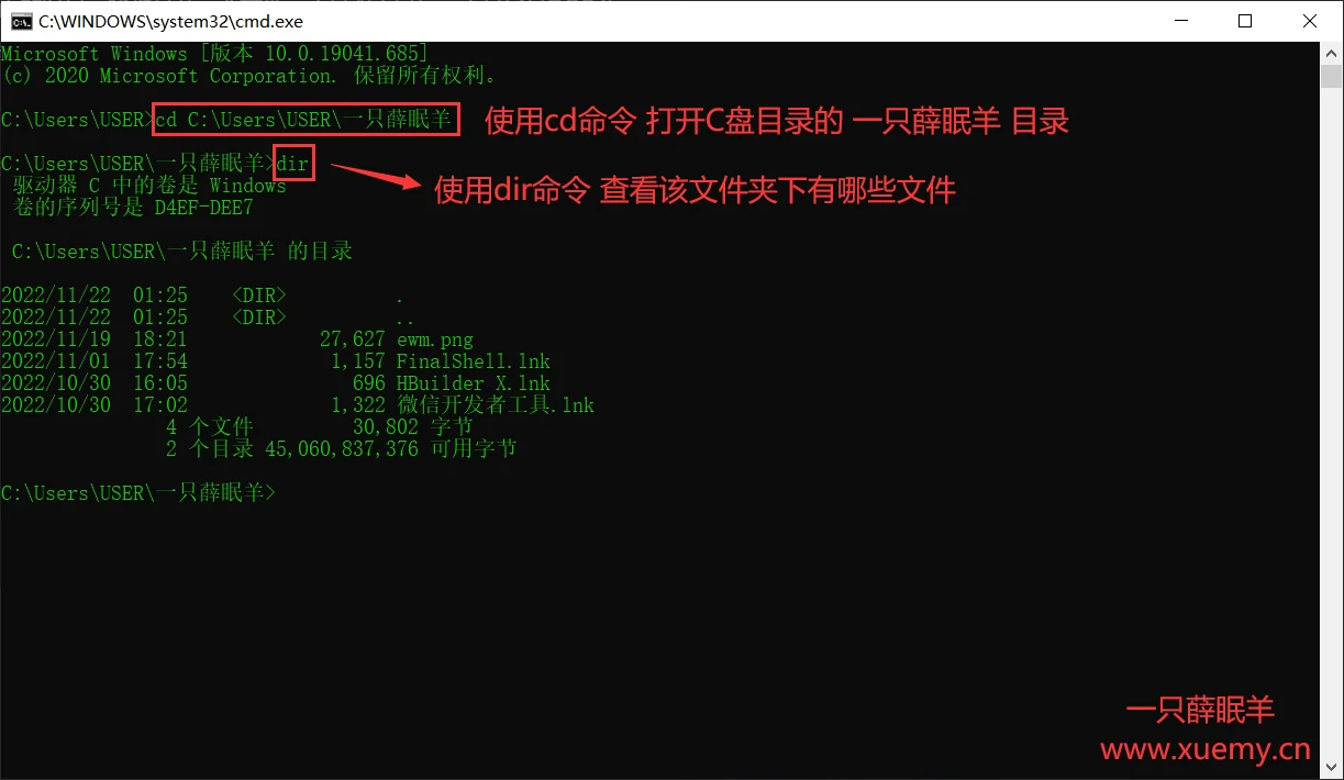 零基础学渗透 系统层基础与常见命令的学习-一只薛眠羊