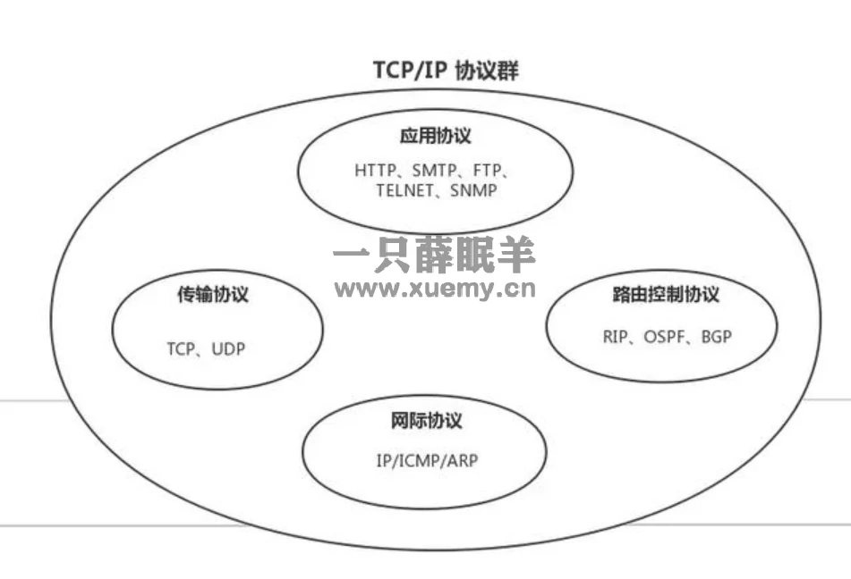 图片[1]-TCP/IP协议根底学问整理-一只薛眠羊