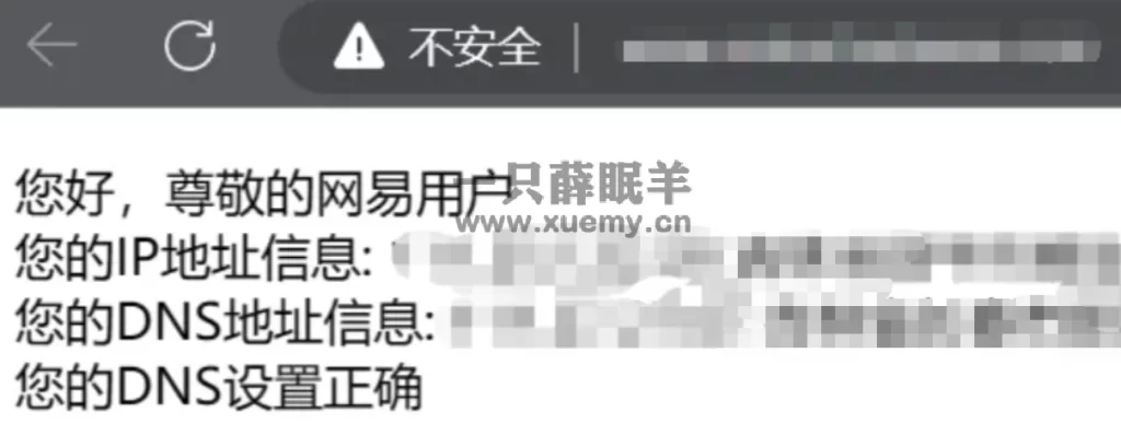 让你的域名更安全 隐藏域名的DNS-一只薛眠羊