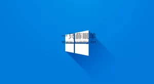 Win10/11免费版本升级,