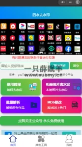 小薛教你利用搜索引擎搜集去水印小程序源码教程-一只薛眠羊