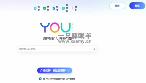 ChatGPT爆火，You.com挑战谷歌和微软-一只薛眠羊