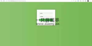 新版本IP探针定位系统 附源码 可以自行部署-一只薛眠羊