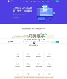 2023最新客服系统源码 支持20国语言在线AI智能客服PHP源码-一只薛眠羊