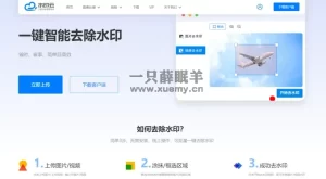分享一款去水印的网站 在线一键去水印-一只薛眠羊