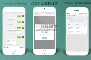 2023最新修复版柒微自动发卡系统开源版-一只薛眠羊