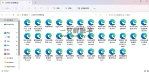 分享关于本人自学前端笔记 附案例源码-一只薛眠羊