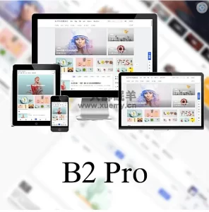 B2 PRO - v4.2.6 主题最新破解版-一只薛眠羊