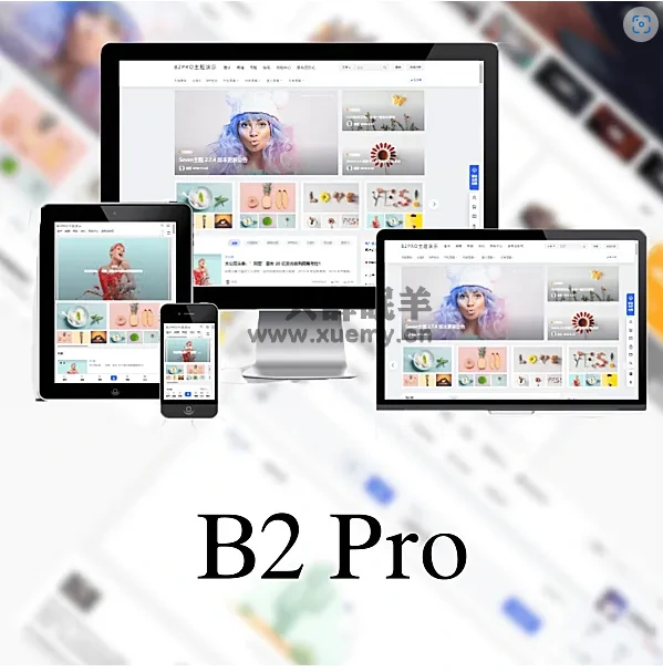 B2 PRO – v4.2.6 主题最新破解版 修复版本-一只薛眠羊