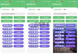 外面卖几百的抖音标签定位直播工具-一只薛眠羊