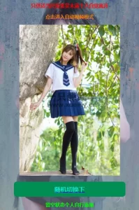 随机小姐姐修复视频接口源码-一只薛眠羊