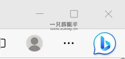 图片[2]-微软Edge配置百科 让你可以随心所欲配置Edge的小工具-一只薛眠羊