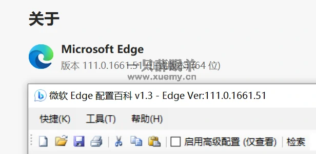 图片[3]-微软Edge配置百科 让你可以随心所欲配置Edge的小工具-一只薛眠羊