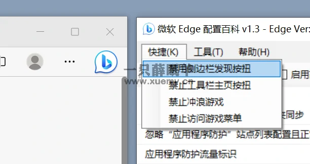 图片[6]-微软Edge配置百科 让你可以随心所欲配置Edge的小工具-一只薛眠羊