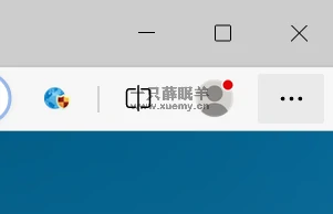 图片[8]-微软Edge配置百科 让你可以随心所欲配置Edge的小工具-一只薛眠羊