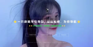 2023新版视频背景网址导航引导页面源码带背景动态HTML源码-一只薛眠羊