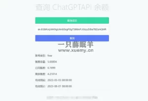实测可用的ChatGPT余额查询网页源码-一只薛眠羊
