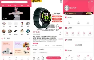 RF 微商城一款免费开源的基础销售功能的微商城源码-一只薛眠羊