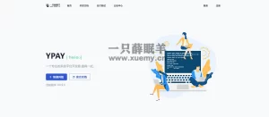 Ypay源支付最新6.9.9免授权修复版本 已测试可正常使用-一只薛眠羊